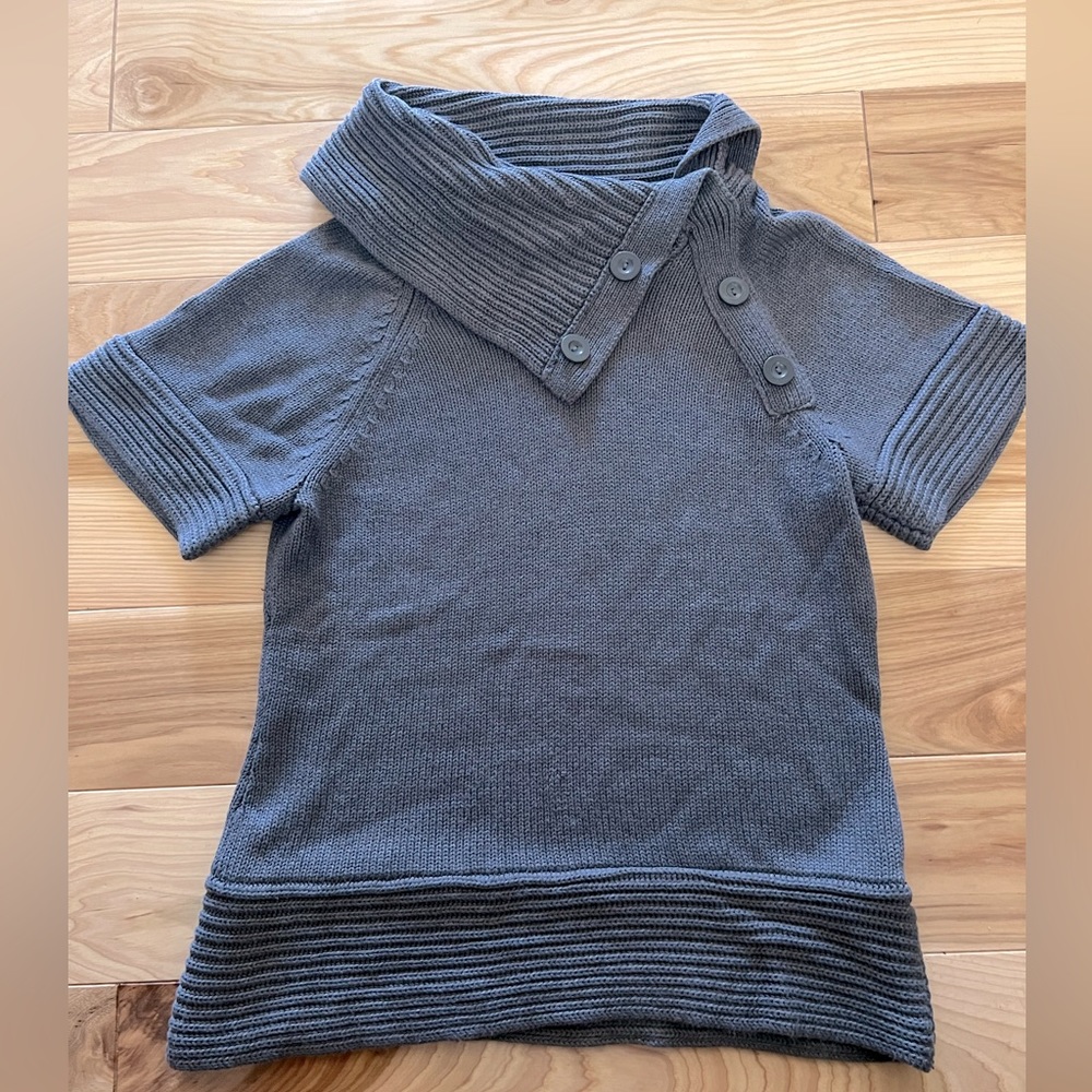 The Limited short sleeve sweater
